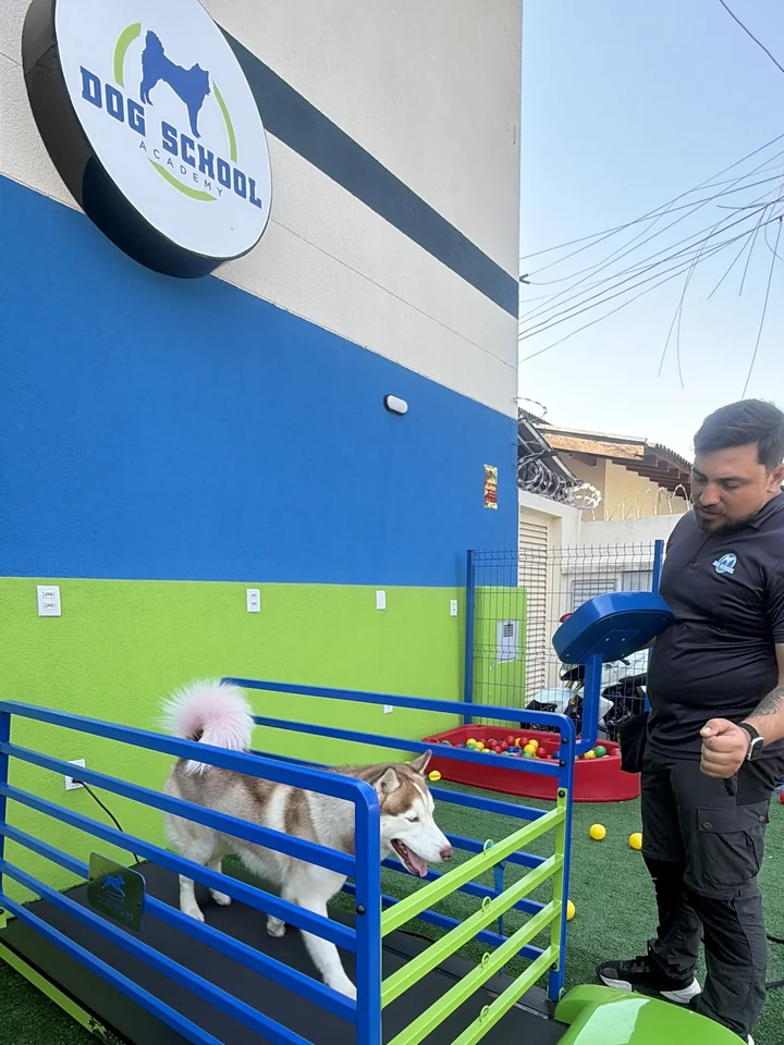 Cão se exercitando na esteira Dog Fitness no pátio da Dog School Academy, com acompanhamento